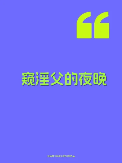 窥淫父的夜晚 封面