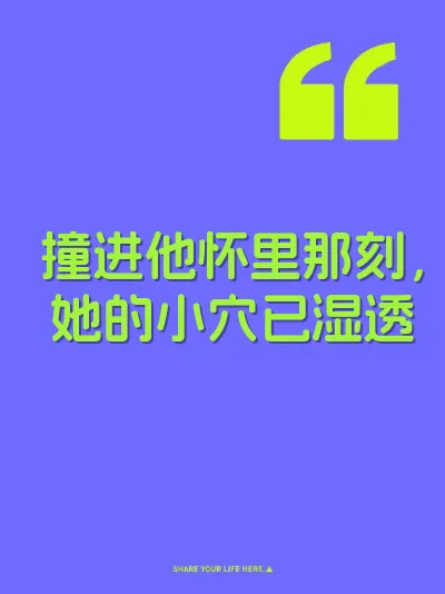 撞进他怀里那刻，她的小穴已湿透 封面