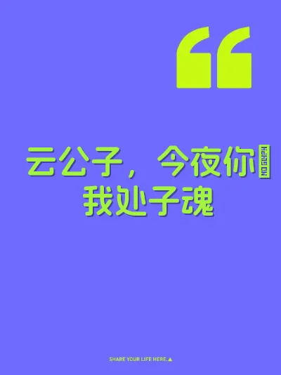 云公子，今夜你肏我处子魂 封面