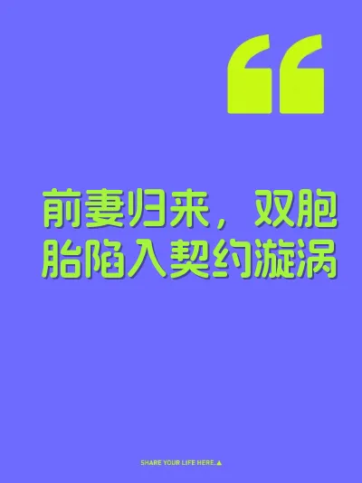 前妻归来，双胞胎陷入契约漩涡 封面