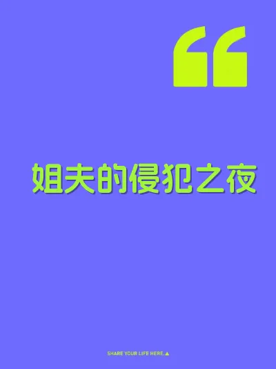 姐夫的侵犯之夜 封面