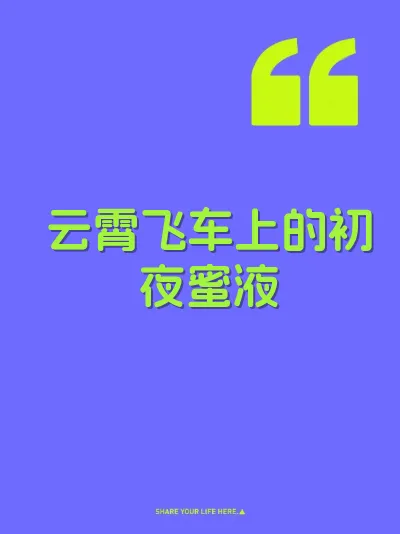 云霄飞车上的初夜蜜液 封面