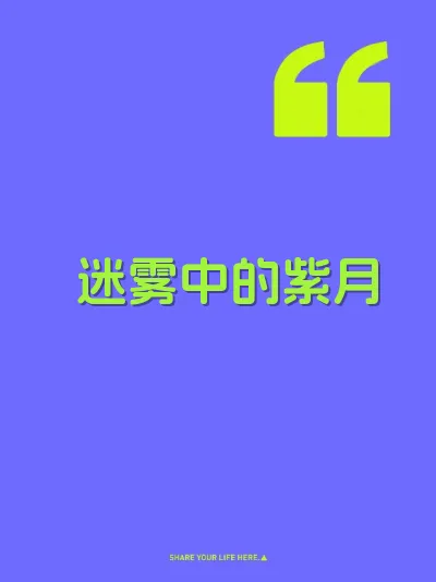 迷雾中的紫月 封面