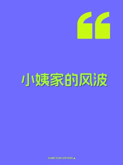 小姨家的风波 封面