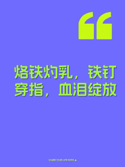烙铁灼乳，铁钉穿指，血泪绽放 封面