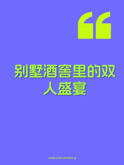 别墅酒窖里的双人盛宴 封面