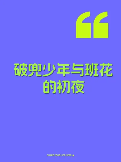 破兜少年与班花的初夜 封面