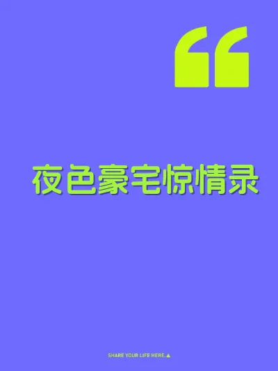 夜色豪宅惊情录 封面