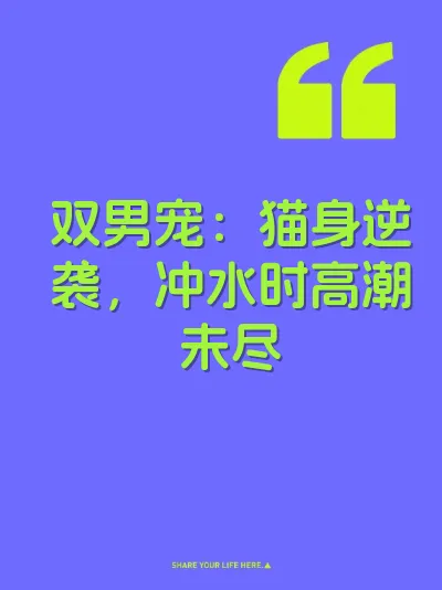 双男宠：猫身逆袭，冲水时高潮未尽 封面