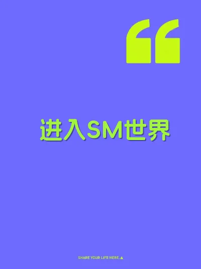 进入SM世界 封面