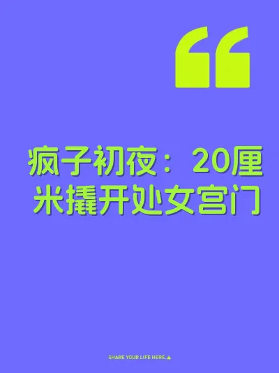 疯子初夜：20厘米撬开处女宫门 封面