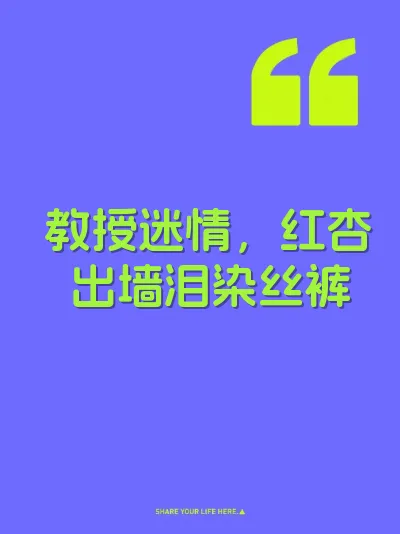 教授迷情，红杏出墙泪染丝裤 封面