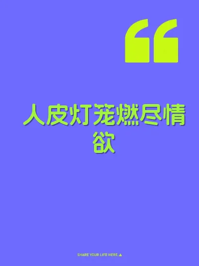 人皮灯笼燃尽情欲 封面