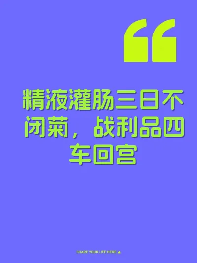 精液灌肠三日不闭菊，战利品四车回宫 封面