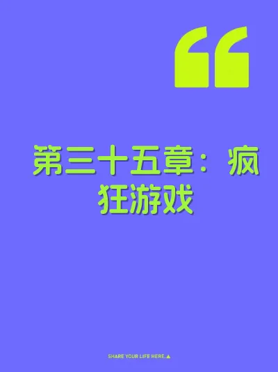 第三十五章：疯狂游戏 封面