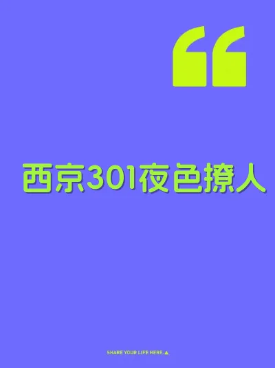西京301夜色撩人 封面