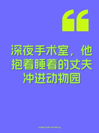 深夜手术室，他抱着睡着的丈夫冲进动物园 封面