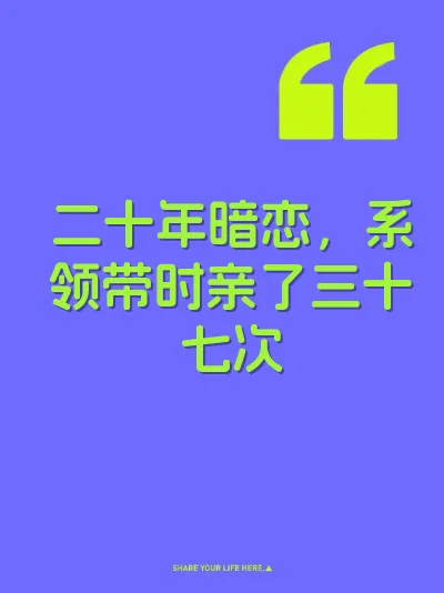 二十年暗恋，系领带时亲了三十七次 封面