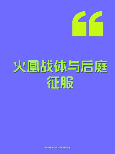 火凰战体与后庭征服 封面