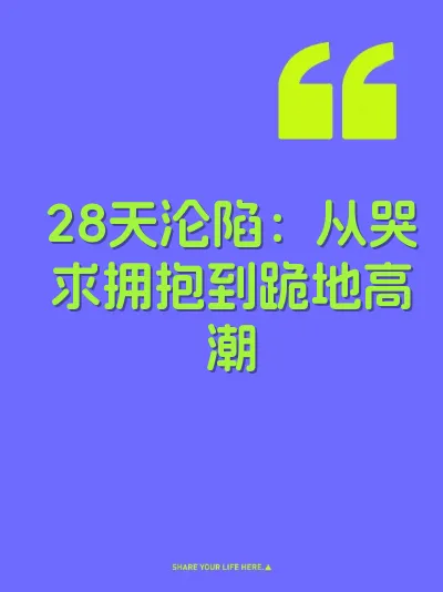 28天沦陷：从哭求拥抱到跪地高潮 封面