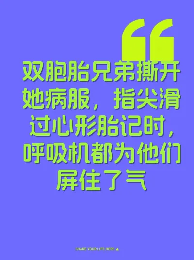 双胞胎兄弟撕开她病服，指尖滑过心形胎记时，呼吸机都为他们屏住了气 封面