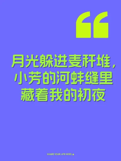 月光躲进麦秆堆，小芳的河蚌缝里藏着我的初夜 封面