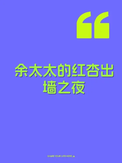 余太太的红杏出墙之夜 封面