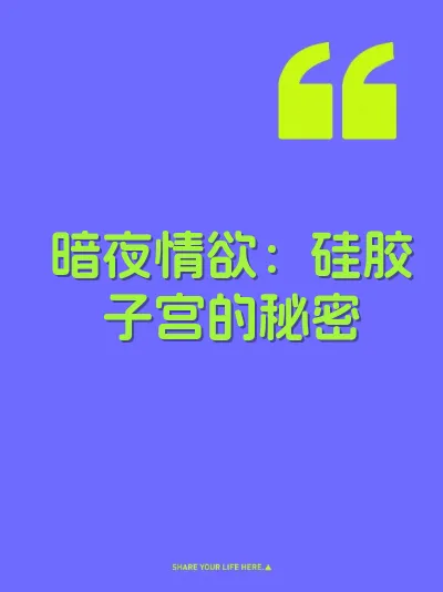 暗夜情欲：硅胶子宫的秘密 封面