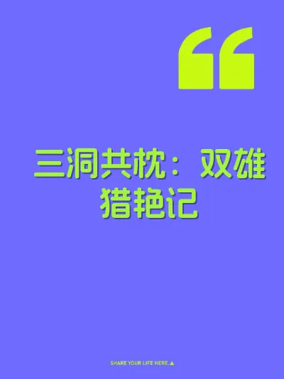 三洞共枕：双雄猎艳记 封面