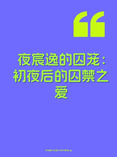 夜宸逸的囚笼：初夜后的囚禁之爱 封面