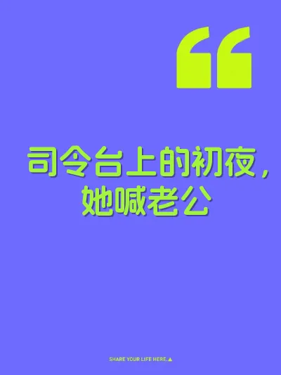 司令台上的初夜，她喊老公 封面