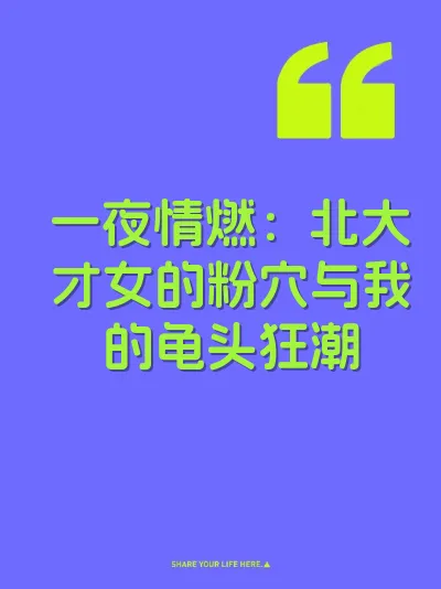 一夜情燃：北大才女的粉穴与我的龟头狂潮 封面