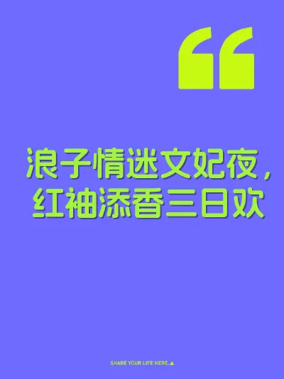 浪子情迷文妃夜，红袖添香三日欢 封面