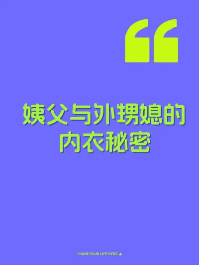 姨父与外甥媳的内衣秘密 封面