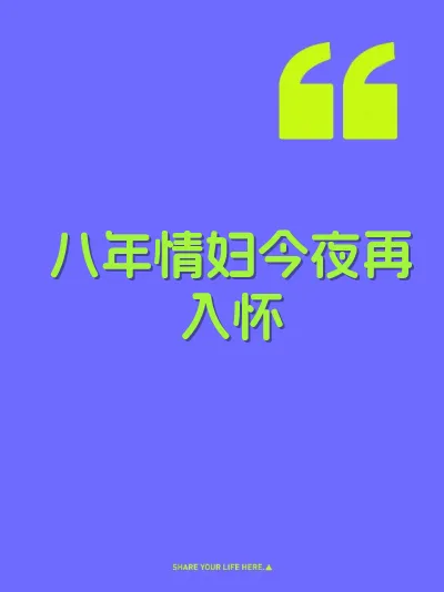 八年情妇今夜再入怀 封面