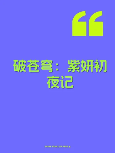 破苍穹：紫妍初夜记 封面