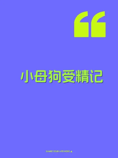 小母狗受精记 封面