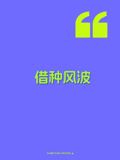 借种风波 封面