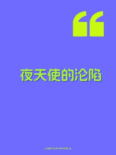 夜天使的沦陷 封面