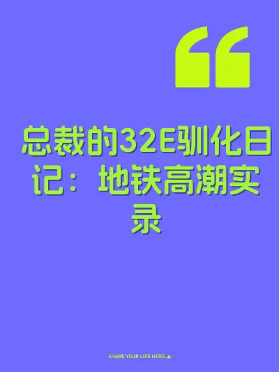 总裁的32E驯化日记：地铁高潮实录 封面