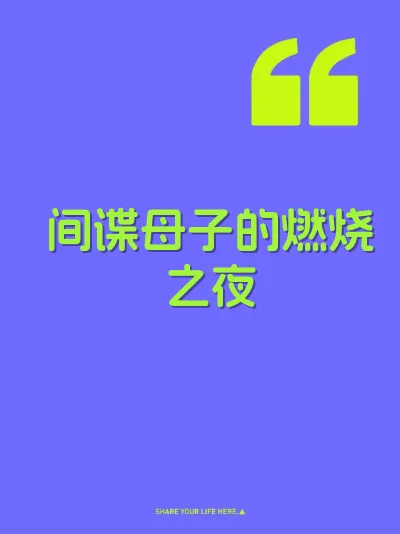 间谍母子的燃烧之夜 封面