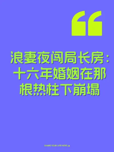 浪妻夜闯局长房：十六年婚姻在那根热柱下崩塌 封面