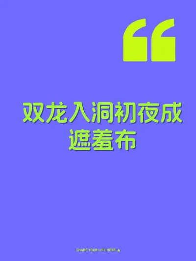 双龙入洞初夜成遮羞布 封面