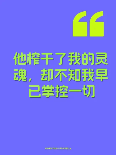 他榨干了我的灵魂，却不知我早已掌控一切 封面