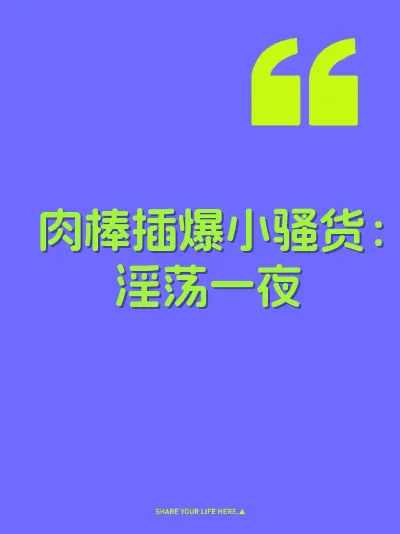 肉棒插爆小骚货：淫荡一夜 封面