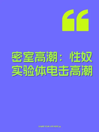 密室高潮：性奴实验体电击高潮 封面