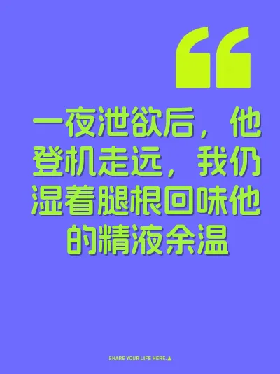 一夜泄欲后，他登机走远，我仍湿着腿根回味他的精液余温 封面