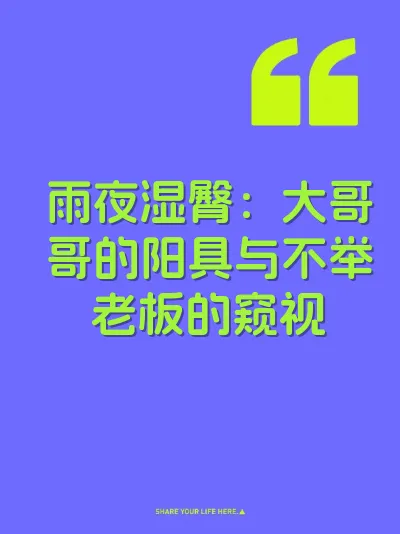 雨夜湿臀：大哥哥的阳具与不举老板的窥视 封面