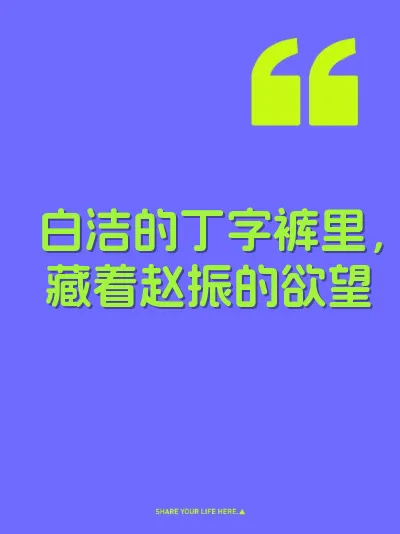白洁的丁字裤里，藏着赵振的欲望 封面