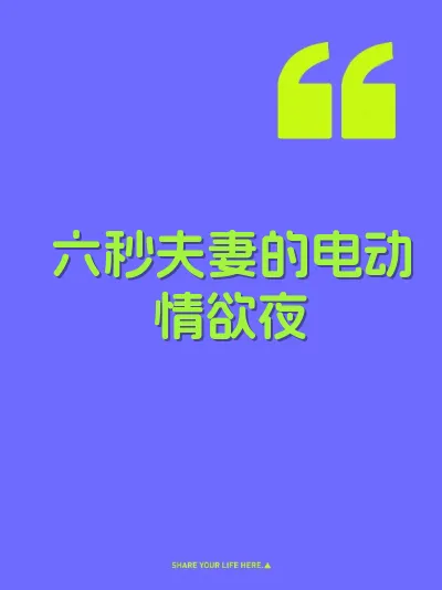 六秒夫妻的电动情欲夜 封面